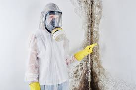 Why You Should Choose Our Mold Remediation Services in Jonesville, VA